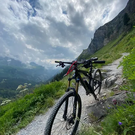 Heimeliges Und Berg